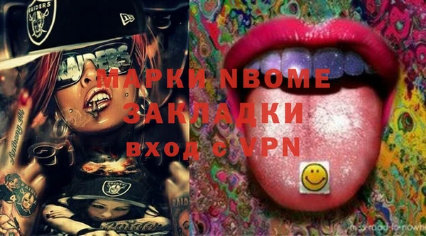 хмурый Дмитров