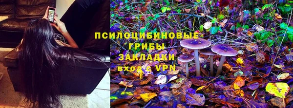 мет Елизово