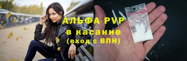 СК Елабуга