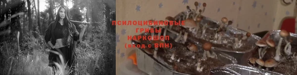 кокаин колумбия Ельня
