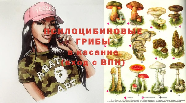 мет Елизово