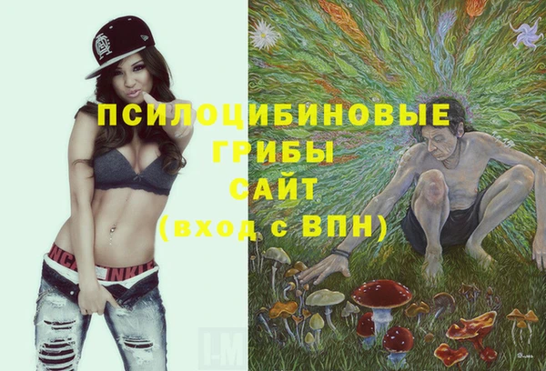 СК Елабуга