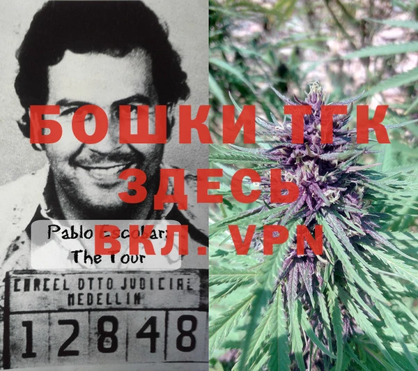 мет Елизово