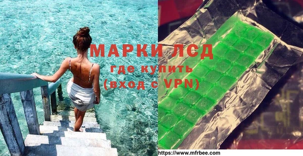 СК Елабуга